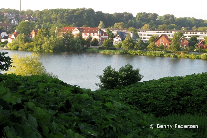 Slotssoen Kolding.jpg - Slotssøen Kolding                               